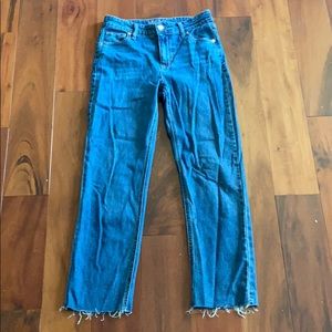 Wild fable jeans